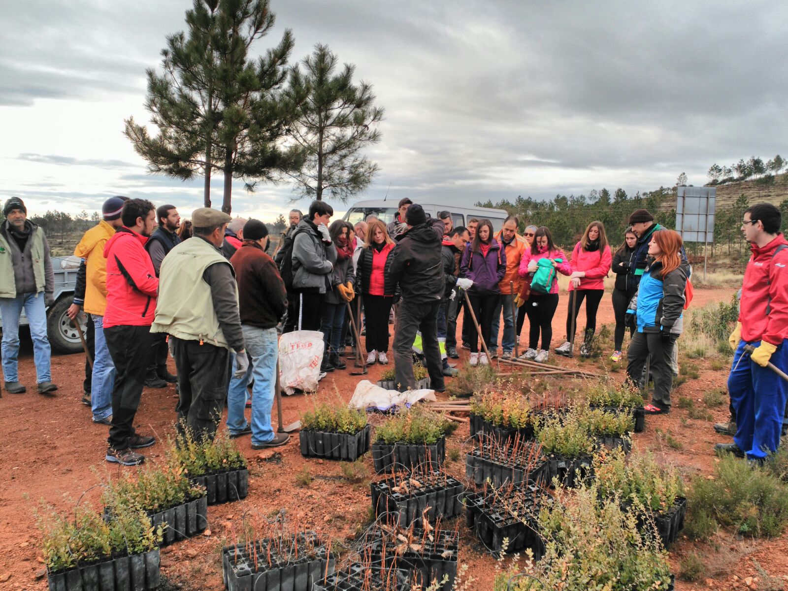 Este fin de semana arranca un nueva edición del Programa "PlantaBosques" Este fin de semana arranca un nueva edición del Programa "PlantaBosques"