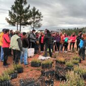 Este fin de semana arranca un nueva edición del Programa "PlantaBosques"