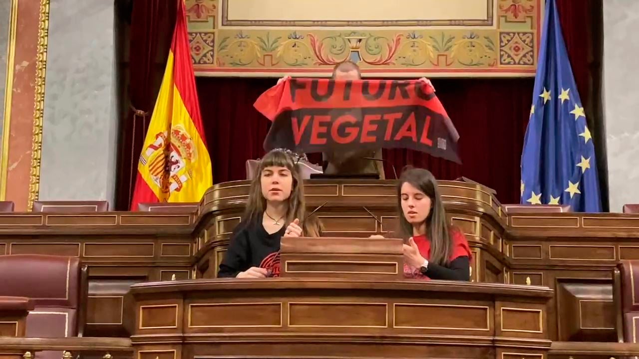 Dos activistas pegan sus manos a los micrófonos del Congreso de los Diputados: "Esto es una emergencia climática" Dos activistas pegan sus manos a los micrófonos del Congreso de los Diputados: "Esto es una emergencia climática"