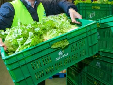 Gadis apoia o proxecto Ecocomedores Gadis apoia o proxecto Ecocomedores