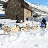 Roberto Marcos del Club Mushing León Roberto Marcos del Club Mushing León