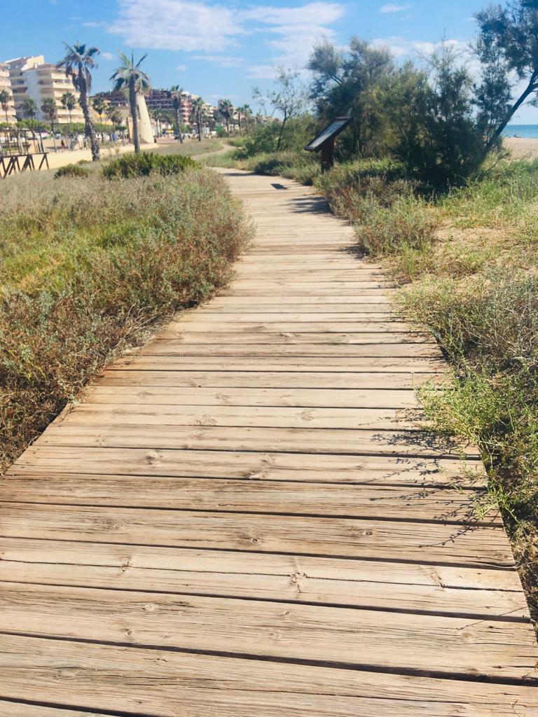 Sendero Azul a la playa Norte de Peñiscola por los servicios medioambientales y culturales Sendero Azul a la playa Norte de Peñiscola por los servicios medioambientales y culturales
