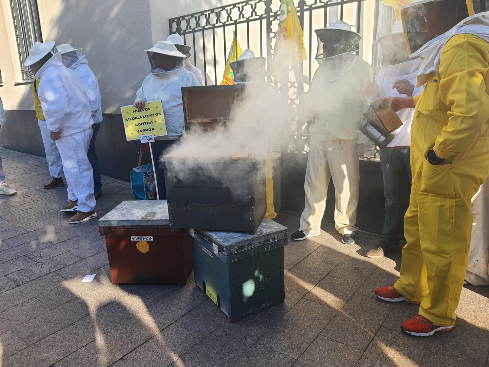 Los apicultores se movilizan en Murcia con una "performance" ante el abandono que sufre el sector Los apicultores se movilizan en Murcia con una "performance" ante el abandono que sufre el sector