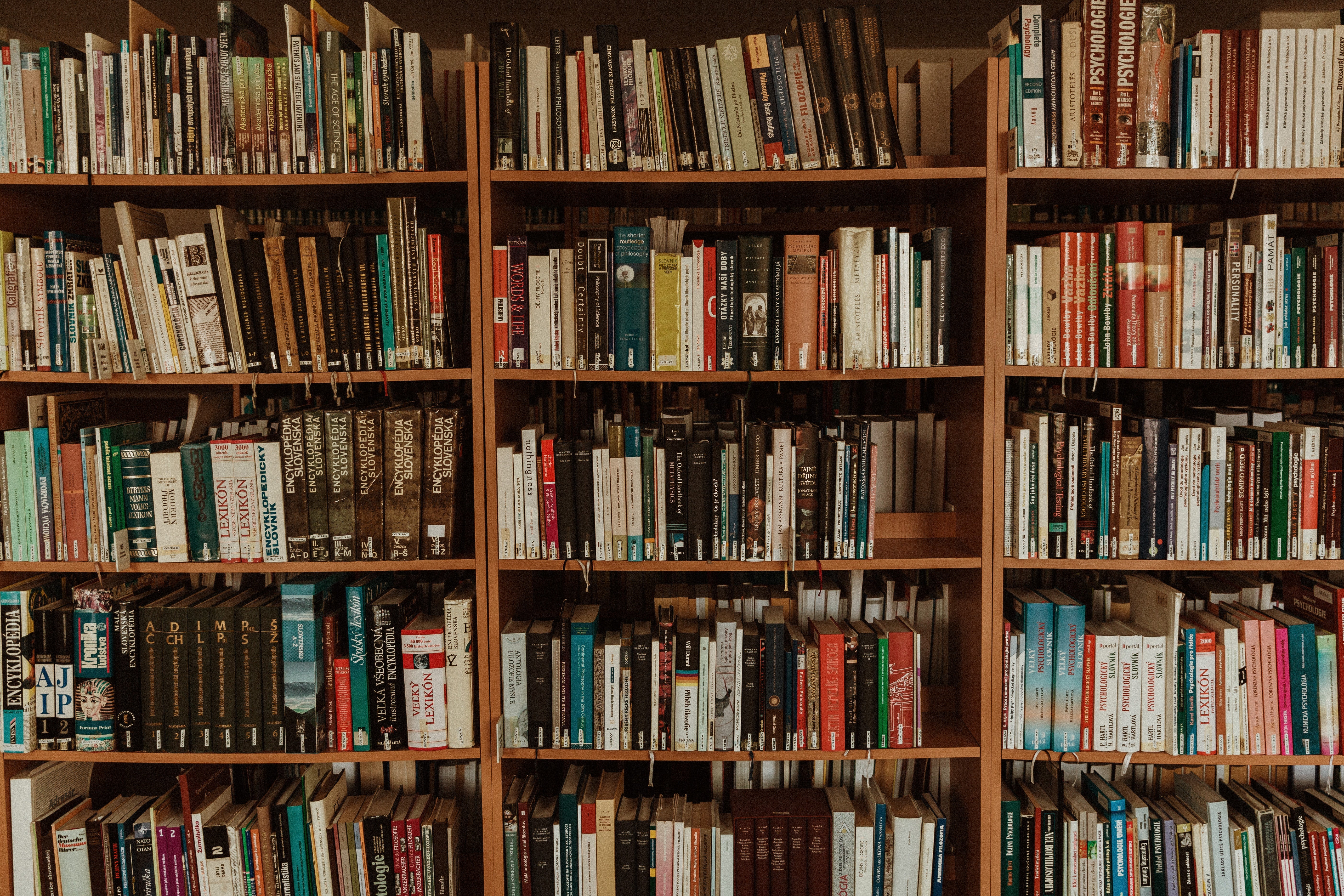 Los mitos de las bibliotecarias Los mitos de las bibliotecarias
