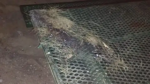 antella vandalismo antella vandalismo