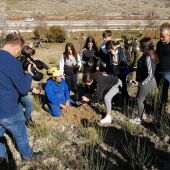  Alumnos del IES Sierra de Aras de Lucena  comienzan a reforestar  el monte Santa Rita