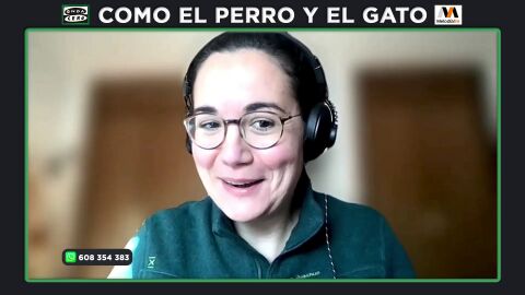 Consejos para adoptar un perro que ha sufrido maltrato