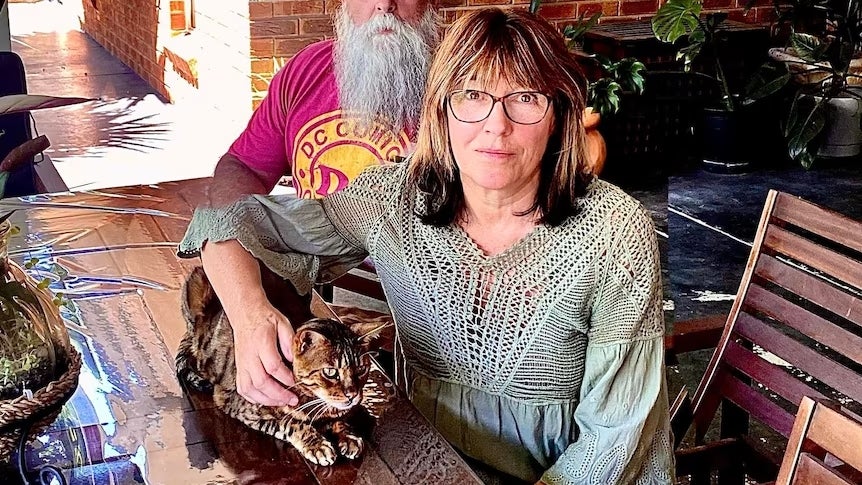 Jaffa, el gato australiano, noniano: "Tres veces he saludado a San Pedro, me conozco las puertas del cielo como la palma de mi pata" Jaffa, el gato australiano, noniano: "Tres veces he saludado a San Pedro, me conozco las puertas del cielo como la palma de mi pata"