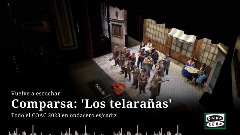 Los telara&ntilde;as