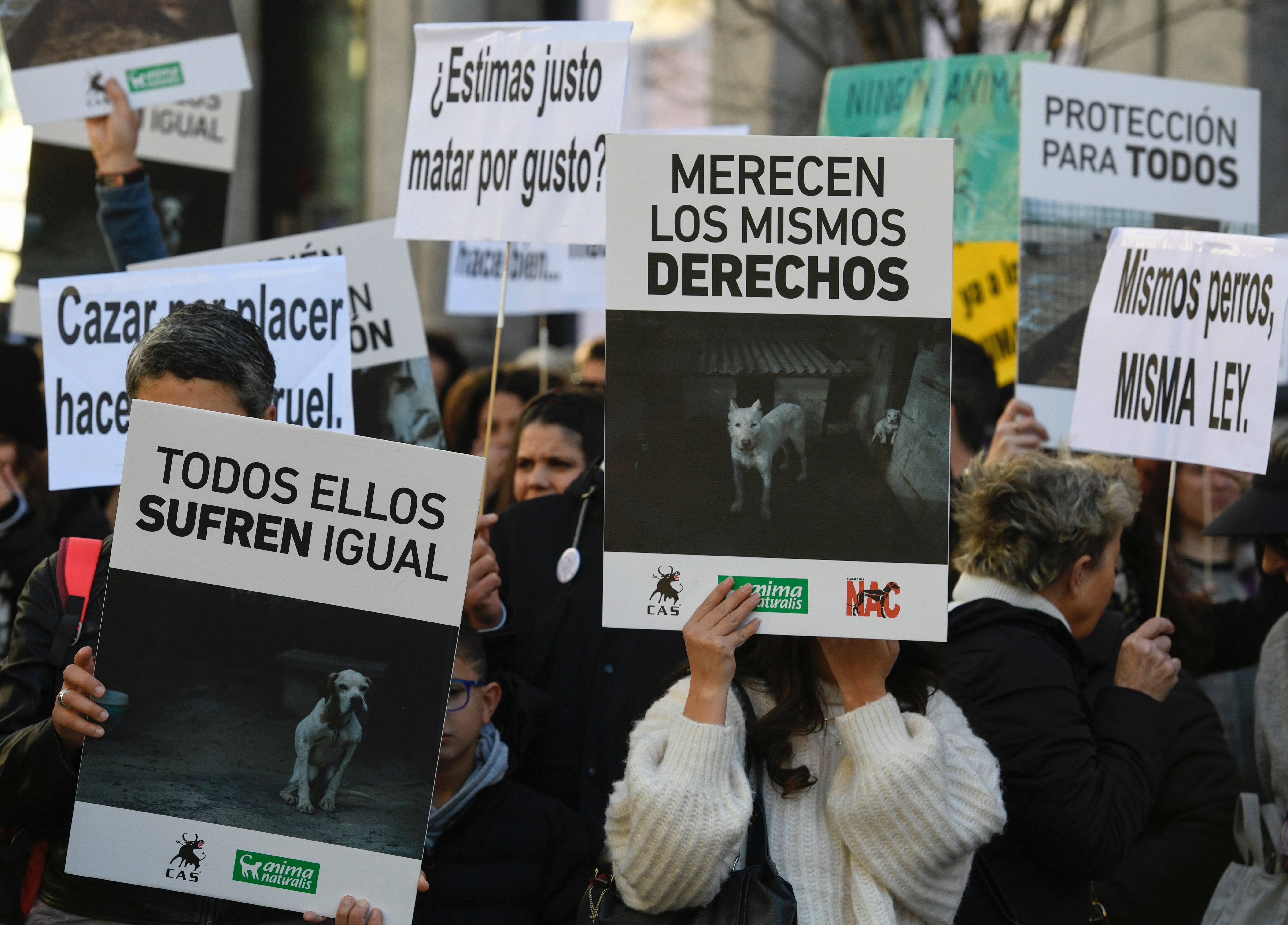 Cientos de personas se manifiestan en varias ciudades de España contra la Ley de Bienestar Animal Cientos de personas se manifiestan en varias ciudades de España contra la Ley de Bienestar Animal