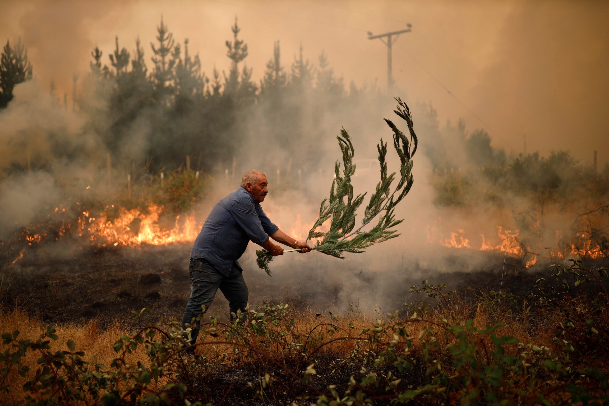 Chile confirma al menos 23 muertos por la ola de incendios forestales Chile confirma al menos 23 muertos por la ola de incendios forestales