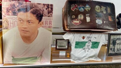 La farmacia de la Glorieta rinde homenaje en su escaparate a la figura de Ángel Romero, considerado el mejor futbolista de la historia del Elche CF La farmacia de la Glorieta rinde homenaje en su escaparate a la figura de Ángel Romero, considerado el mejor futbolista de la historia del Elche CF