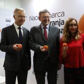 Puig pide unidad al sector citrícola y colaboración al comercio para reforzar la marca 'Naranja Valenciana'