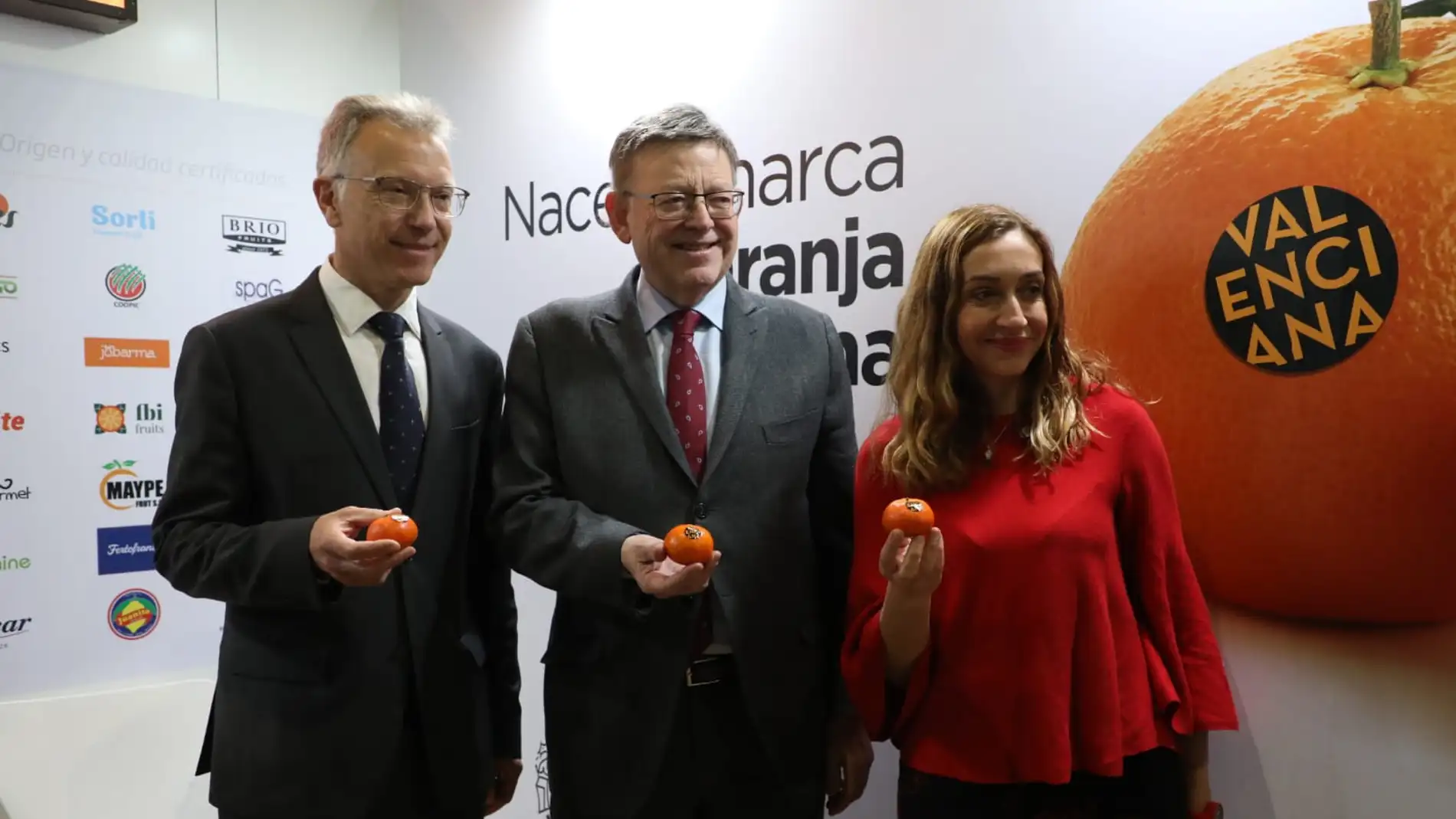 Puig pide unidad al sector citrícola y colaboración al comercio para reforzar la marca 'Naranja Valenciana'
