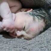 Milagro en medio de la tragedia por el terremoto en Siria: un bebé nace entre los escombros