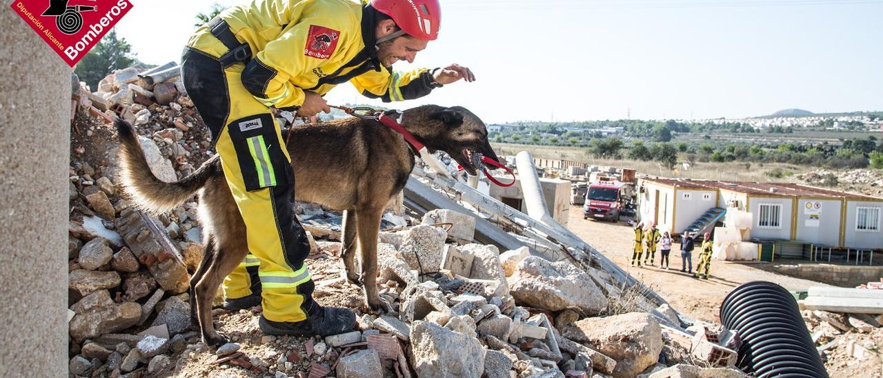 Profesionales voluntarios de Alicante parten a Turquía colaborar con las labores de rescate Profesionales voluntarios de Alicante parten a Turquía colaborar con las labores de rescate