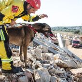 Profesionales voluntarios de Alicante parten a Turquía colaborar con las labores de rescate