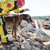 Profesionales voluntarios de Alicante parten a Turquía colaborar con las labores de rescate Profesionales voluntarios de Alicante parten a Turquía colaborar con las labores de rescate