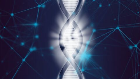 Cientificos espanoles descubren que algunas secuencias de ADN cambian segun el entorno