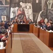 Pleno de la Diputación de Ciudad Real Pleno de la Diputación de Ciudad Real