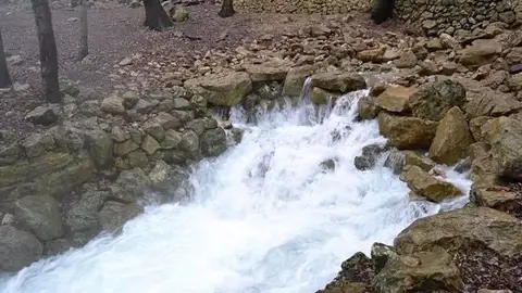 Ses Fonts Ufanes brotan en Mallorca tras las últimas lluvias Ses Fonts Ufanes brotan en Mallorca tras las últimas lluvias