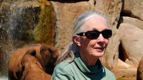 Jane Goodall visita BIOPARC Valencia Jane Goodall visita BIOPARC Valencia