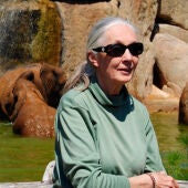 Jane Goodall visita BIOPARC Valencia