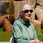 Jane Goodall visita BIOPARC Valencia Jane Goodall visita BIOPARC Valencia