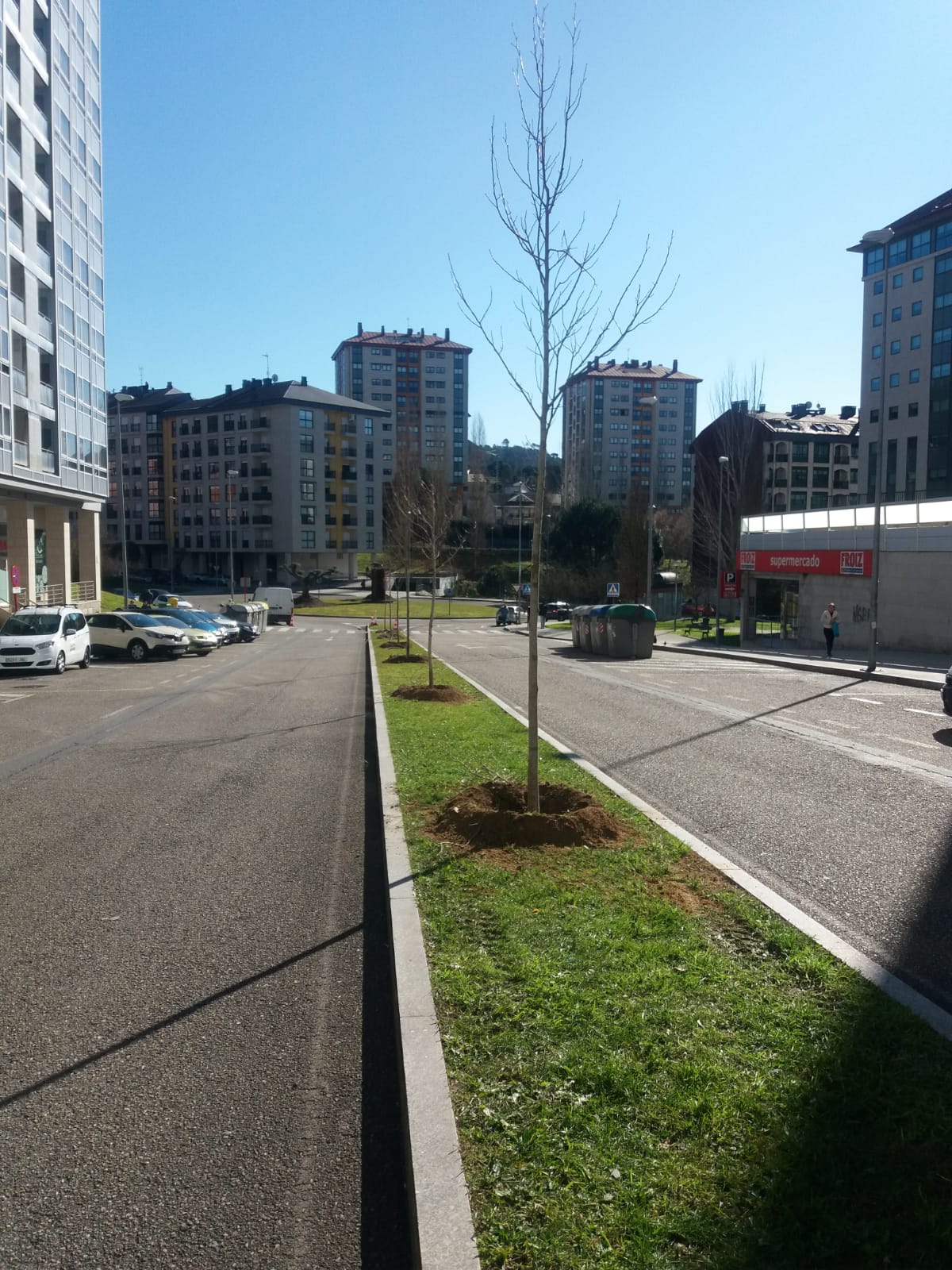 O Concello planta 26 árbores que lle dan unha nova fisionomía á rúa Chano Piñeiro O Concello planta 26 árbores que lle dan unha nova fisionomía á rúa Chano Piñeiro