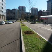 O Concello planta 26 árbores que lle dan unha nova fisionomía á rúa Chano Piñeiro