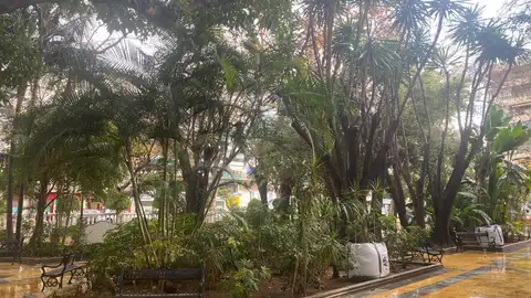 Obras La Alameda Obras La Alameda