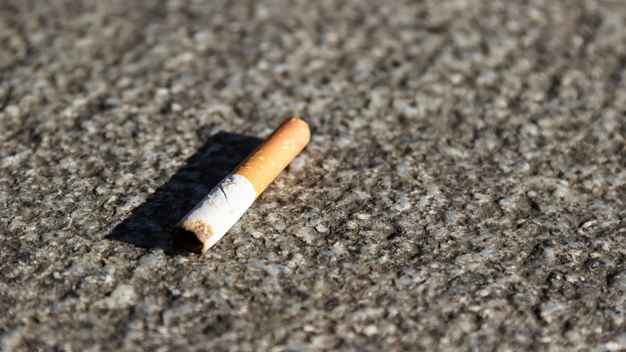 UTE Elche y el Ayuntamiento inician una campa&ntilde;a contra las colillas de cigarros