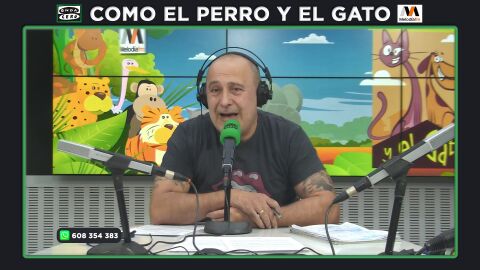 Carlos Rodríguez, sobre la Ley de Bienestar Animal: "Los que han perdido, como siempre, han sido los animales"