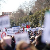 Manifestación en defensa de la sanidad pública convocada este domingo en Madrid