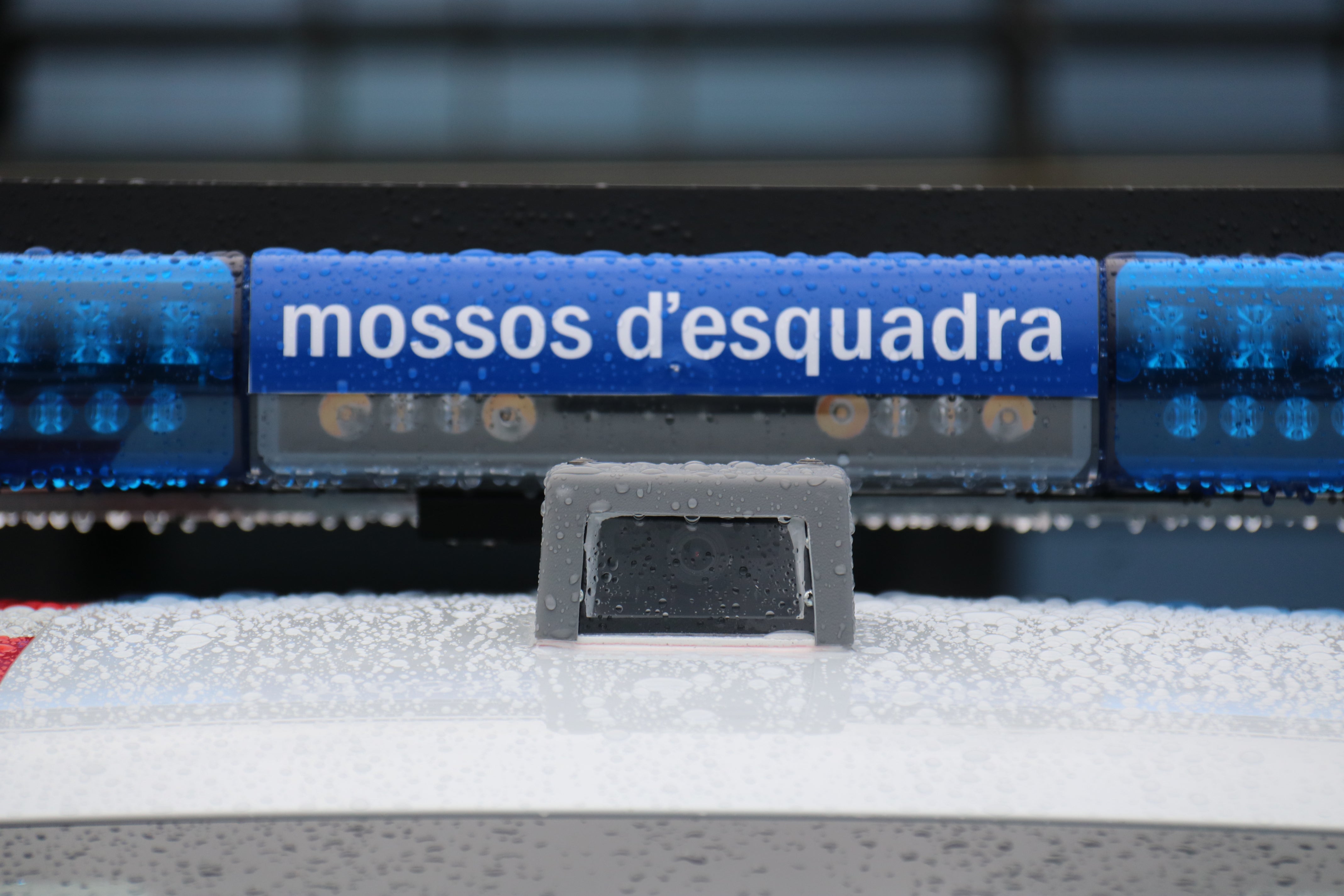 La familia de la niña presuntamente violada en Badalona abandona la ciudad La familia de la niña presuntamente violada en Badalona abandona la ciudad