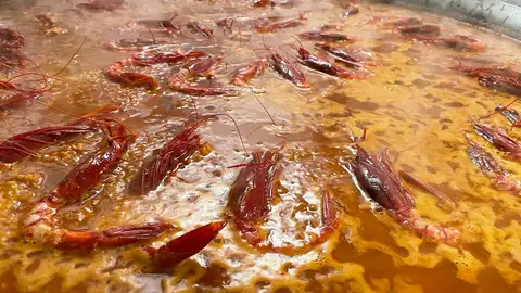 Arroz con Bogavantes para celebrar sus 18 años Arroz con Bogavantes para celebrar sus 18 años