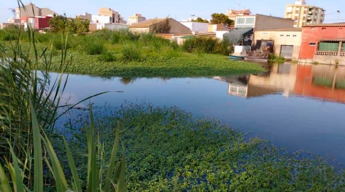 Sueca planta cara al PORN de l'Albufera Sueca planta cara al PORN de l'Albufera