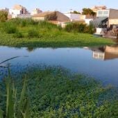 L'Albufera en El Perelló
