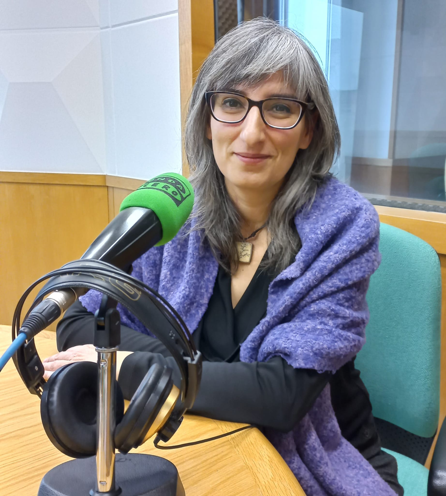 Com es treballa des de Lleida el foment de la cultura de la pau? Com es treballa des de Lleida el foment de la cultura de la pau?