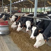 A Xunta destaca as axudas da PAC no futuro de agro galego A Xunta destaca as axudas da PAC no futuro de agro galego