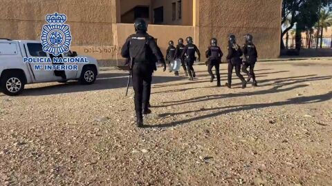 Agentes de la Polic&iacute;a Nacional durante la operaci&oacute;n antidroga desarrollada en Elche.
