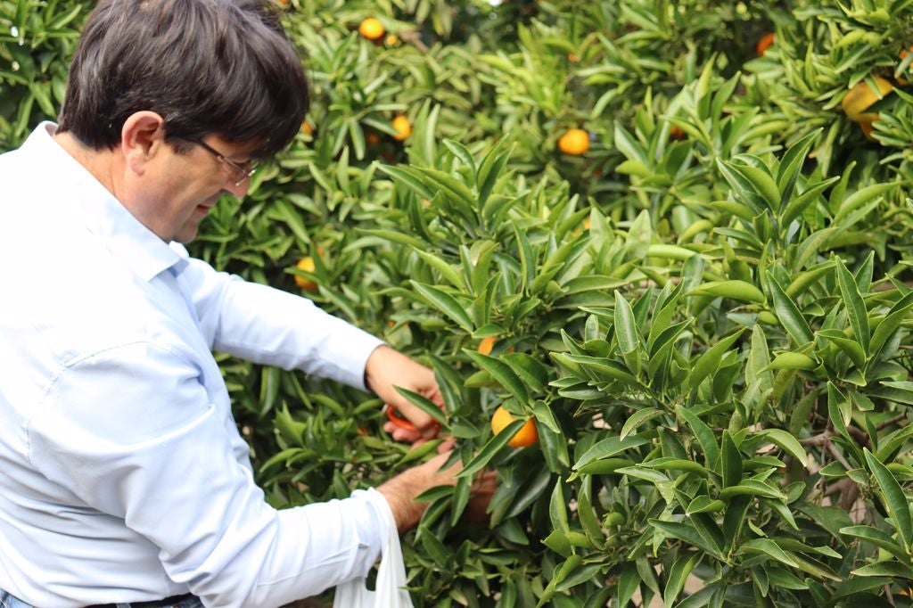 Los agricultores alicantinos protestarán el 16 de febrero en San Isidro Los agricultores alicantinos protestarán el 16 de febrero en San Isidro