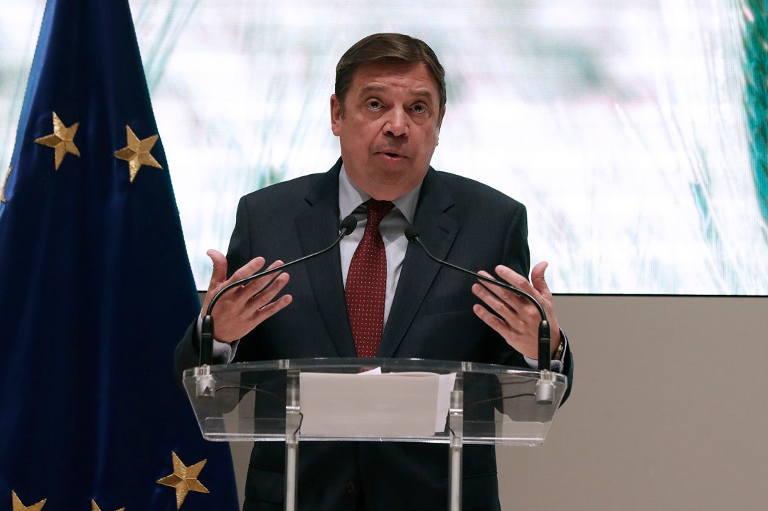 Planas no cree que los supermercados se estén forrando y reprocha a Podemos los "calificativos gruesos" a las empresas Planas no cree que los supermercados se estén forrando y reprocha a Podemos los "calificativos gruesos" a las empresas