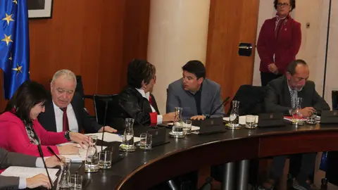 Hoy se ha celebrado el pleno extraordinario de la DPH. Hoy se ha celebrado el pleno extraordinario de la DPH.