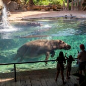Bioparc