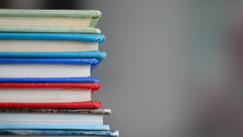 Imagen de archivo de libros.