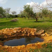 Charca para fauna en la finca La Nava del Conejo de Valdepeñas Charca para fauna en la finca La Nava del Conejo de Valdepeñas