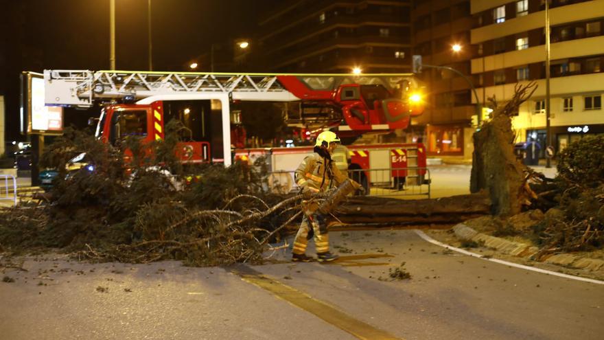 El viento deja 95 salidas de bomberos y seis árboles caídos El viento deja 95 salidas de bomberos y seis árboles caídos