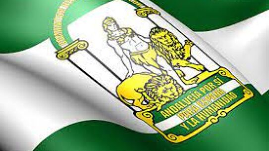 Bandera y escudo de Andaluc&iacute;a