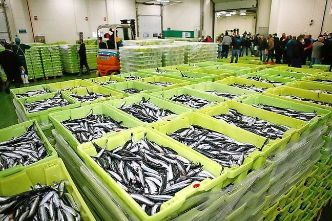 Los inspectores de pesca han dicho basta Los inspectores de pesca han dicho basta